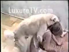 A gorgeous blonde wearing white underwear bows to a golden puppy.